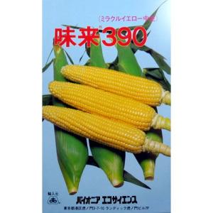野菜種子 スイートコーン「プレミアム味来90」 2,000粒（サナテック