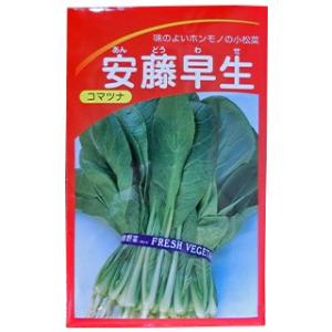 小松菜の種 安藤早生小松菜 小袋 ( 野菜の種 )