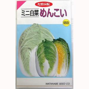 白菜の種 ミニ白菜めんこい 小袋 ( 野菜の種 )