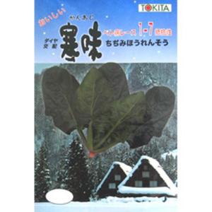 ほうれん草の種 寒味 小袋 約30ml ( 野菜...の商品画像