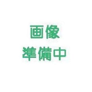 ほうれん草の種 寒味 小袋 約30ml ( 野...の詳細画像1