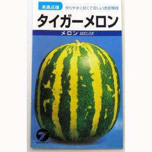 メロンの種 タイガーメロン 小袋 ( 野菜の種 )