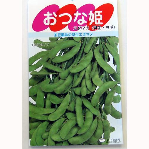 枝豆種 おつな姫 ( えだまめの種 ) 小袋 約1dl 家庭菜園 ガーデニングにおすすめの 野菜種♪...