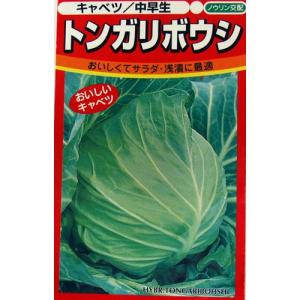 SK9-099 ブロッコリー種子 2000粒 【野菜種子】【サカタのタネ