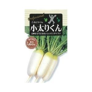 大根の種 小太りくん 小袋 ( 野菜の種 )