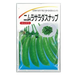 スナップエンドウの種 ニムラサラダスナップ 小袋 (