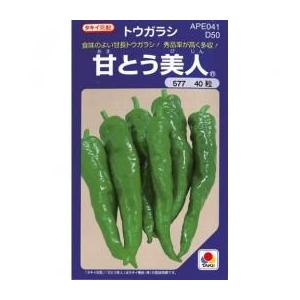 ししとうの種 甘とう美人 小袋(35粒)の商品画像