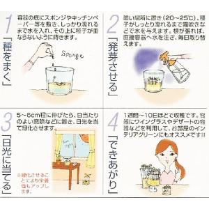 スプラウトの種 かいわれブロッコリー 1L (...の詳細画像1