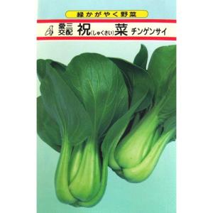 祝菜 (ちんげん菜 チンゲンサイの種) 小袋 約...の商品画像