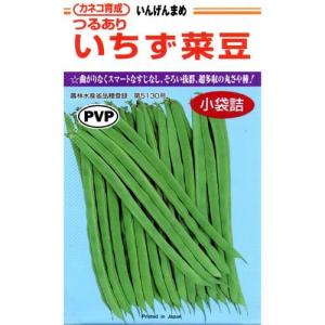 つるありいんげんの種 いちず 小袋 (約70粒)の商品画像