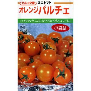 ミニトマトの種 オレンジパルチェ 小袋（13粒）｜菜園くらぶ Yahoo!店