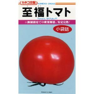大玉トマトの種 トマト至福 小袋（17粒）｜saien-club
