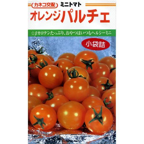 ミニトマトの種 オレンジパルチェ 100粒 ( 野菜の種 )