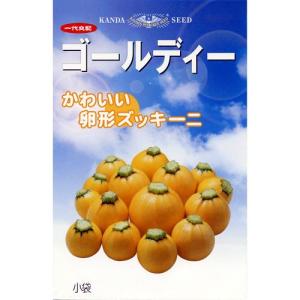 ズッキーニの種 ゴールディー 小袋 約10粒 ( 野菜の種 )