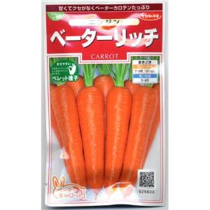 【晩生】玉ねぎ苗▼七宝甘1000本 玉ねぎの苗 予約 中晩生 甘玉(七宝甘70）約100本 : 菜園くらぶ Yahoo