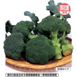 ブロッコリーの種 ピクセル 2000粒 ( 野菜の種 )｜saien-club