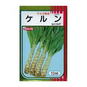 山くらげケルン (レタスの種) 小袋 約10ml ( 野菜の種 ) : 菜園くらぶ