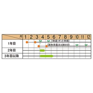 ウェルカム アスパラガスの種 1dl缶 野菜の種 Isequipment Cl
