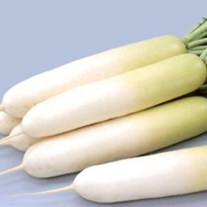 大根の種 冬しぐれ 小袋 約20ml ( 野菜の種 )