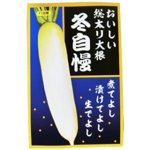 大根の種 冬自慢 小袋 約20ml ( 野菜の種 )