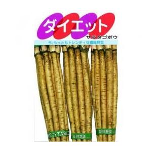 ゴボウの種 サラダごぼうダイエット 小袋 約20ml ( 野菜の種 )