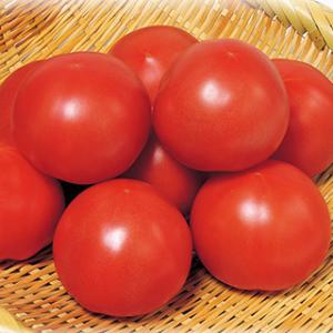 大玉トマトの種 トマトりんか409 100粒 ( 野菜の種 )