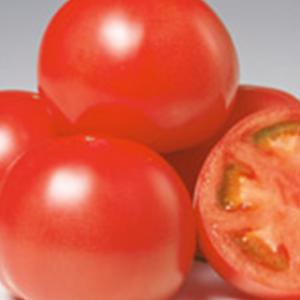 大玉トマトの種 トマトサンロード 20ml ( 野菜の種 )｜saien-club