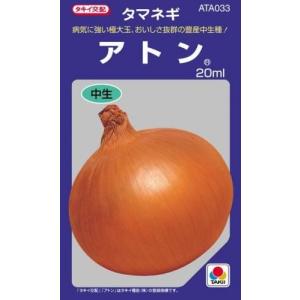 玉ねぎの種 アトン 20ml ( 野菜の種 )