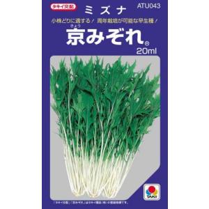 京みぞれ (水菜、京菜の種) 小袋 約20ml ...の商品画像