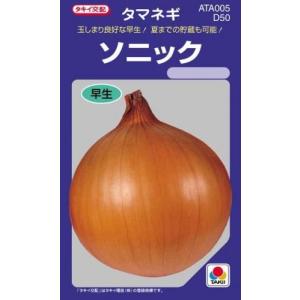 たまねぎの種 ソニック 小袋 DF