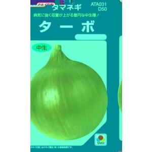 たまねぎの種 ターボ 小袋 DF