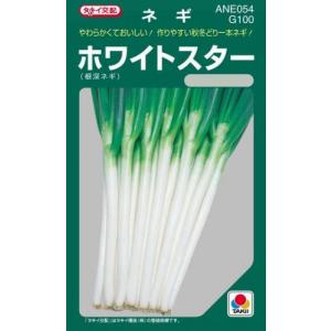 ネギの種 ホワイトスター ペレット200粒 ( 野菜の種 ) : 菜園くらぶ