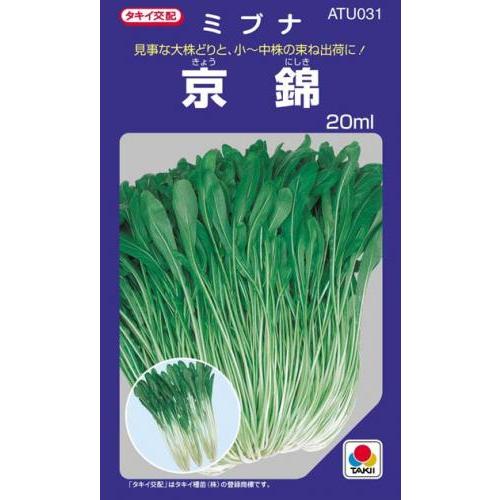 京錦壬生菜 (壬生菜の種) 小袋 約20ml ( 野菜の種 )