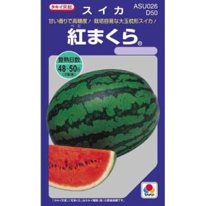 スイカの種 紅まくら 小袋(DF 8粒)