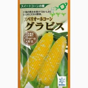 大人気！】野菜の種/種子 甘々娘・とうもろこし・トウモロコシ