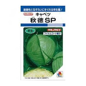 唐辛子の種 朝鮮なんばん (激辛) 5ml ( 野菜の種 ) : 菜園くらぶ Yahoo