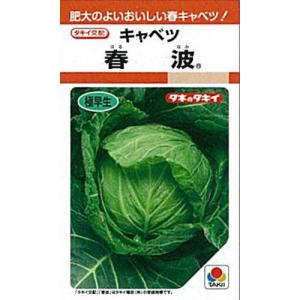 SK9-099 ブロッコリー種子 2000粒 【野菜種子】【サカタのタネ