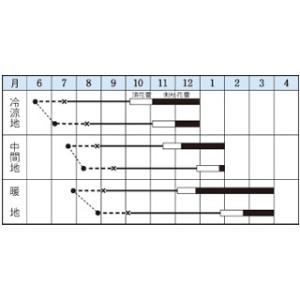 ブロッコリーの種 グリーンビューティ 小袋(0...の詳細画像1