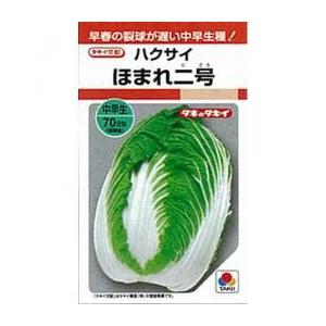白菜の種 ほまれ二号 小袋(RF 1ml)