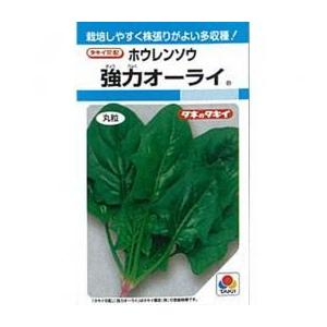 ホウレンソウの種 強力オーライ 小袋(MF 22ml)