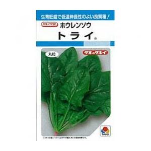 ほうれん草の種 トライ 1L ( 野菜の種 )