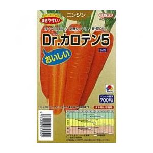 人参の種 Dr.カロテン5 L1万粒 ( 野菜の種 )