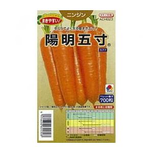人参の種 陽明五寸 小袋 約ペレット700粒 ( 野菜の種 )｜saien-club