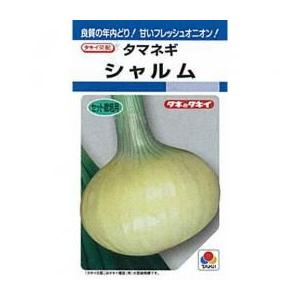 玉ねぎの種 シャルム ＤＦ 小袋（約6ml） ( 野菜の種 )