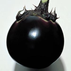 ナスの種 早生大丸 小袋(80粒)