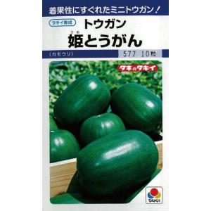 冬瓜(トウガン)の種 沖縄冬瓜 小袋 約5ml ( 野菜の種 ) : 菜園くらぶ