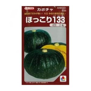 えびす 500粒 カボチャ種子 【南瓜の種】【タキイのタネ】【野菜の種