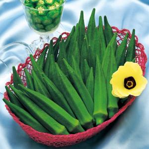 アーリーファイブ 1000粒 オクラ種子【野菜種子】【タキイ種苗