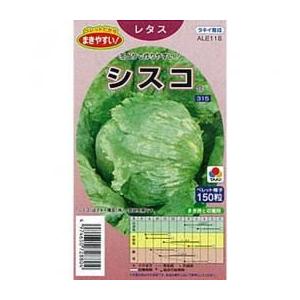 シスコ (レタスの種) 小袋 約ペレット150粒 ( 野菜の種 )