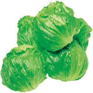 タキイ種苗 レタス ヒートガイ ペレット5000粒 : 種苗・園芸ショップ